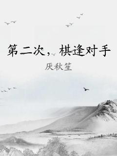 第二次，棋逢對手