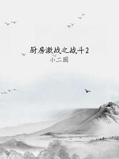 厨房激战之战斗2