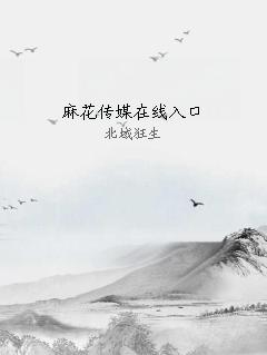 麻花传媒在线入口