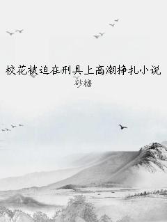 校花被迫在刑具上高潮挣扎小说