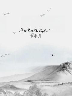 麻w豆w在线入口