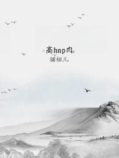高hnp肉