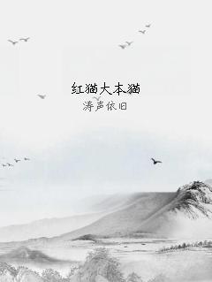 红猫大本猫